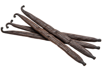 Aromatic vanilla beans isolated on transparent background, dark brown pods for gourmet cooking and baking flavoring