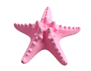  3D Render of Pink Starfish Isolated on Black Transparent Background.