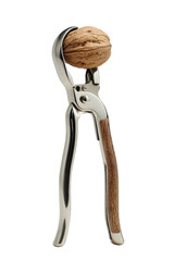 Close-up studio shot of a walnut held in a shiny metal nutcracker