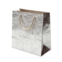Metallic silver gift bag with rope handles, isolated against a black background
