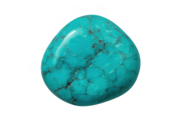 Polished turquoise gemstone showing black matrix on transparent background