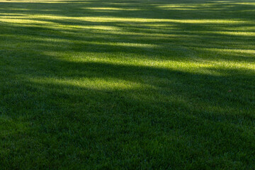 A Lush Green Lawn Bathed in Soft, Gentle Shadows - Tranquil Outdoor Scene Perfect for Picnics, Relaxation, or Recreational Activities Under the Sunlight's Embrace