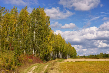 Jesień wkracza na Wzgórza Sokólskie, Podlasie, Polska