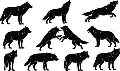 Black wolf silhouettes in various poses, running, jumping, standing, fighting, wildlife animal vector illustration, predator art, nature design for stock content