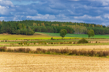 Jesień wkracza na Wzgórza Sokólskie, Podlasie, Polska © podlaski49