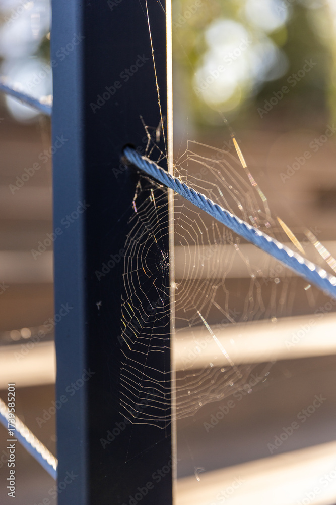 Wall mural close-up of a delicate spider web glimmering in the sunlight on a metal railing, created by nature s