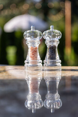 Elegant Display of Salt and Pepper Grinders Reflecting Nature's Beauty against a Softly Blurred Background of a Relaxing Outdoor Setting Amidst Sunlight and Greenery