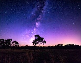 Starry Sky Above Silhouette Trees at Night in Field with Purple and Blue Cosmic Colors