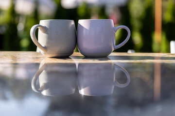 A Serene Moment Captured with Two Stylish Coffee Mugs Reflecting Serenity and Nature's Beauty in a Bright Outdoor Setting