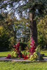 Stunning Floral Arrangement in a Park Setting, Featuring Vivid Red and Green Blooms Surrounded by Lush Trees Under Clear Blue Sky, Perfect for Outdoor Events and Celebrations