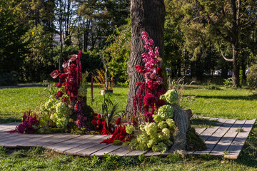 A Beautiful Outdoor Floral Display Featuring Vibrant Red and Green Foliage with a Tree in the Background, Perfect for Inspiring Floral Arrangements and Nature Photography