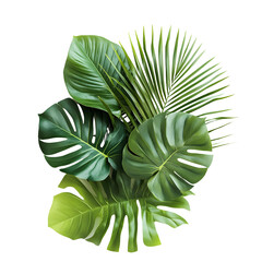 Exotic Tropical Leaves Arrangement on White Background for Creative Design Projects