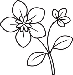 Purslane flower and leaf outline vector illustration line art