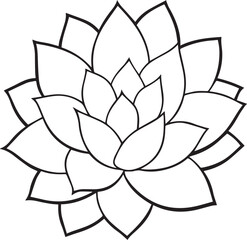 succulent plant outline vector illustration line art