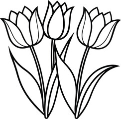 tulips outline vector illustration line art