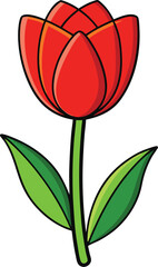 Red tulip flower vector illustration with green leaves