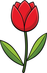 Red tulip flower vector illustration with green leaves