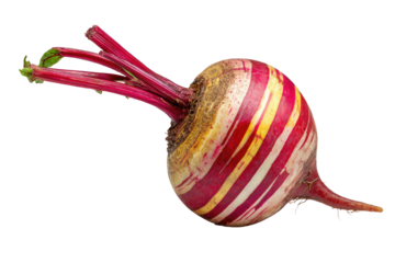 Close-up of a vibrant, striped root vegetable with green leaves against a transparent background