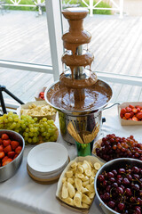 Chocolate fountain and fruits. Liquid chocolate dessert at a party.