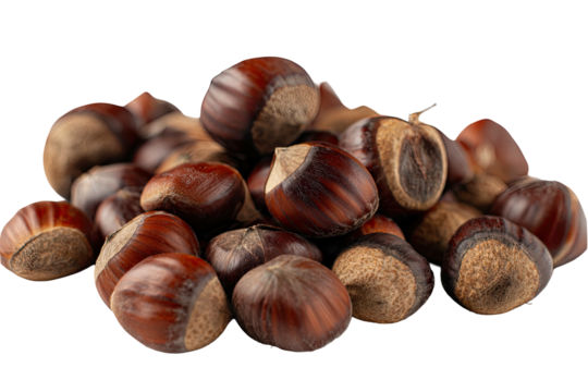 A pile of brown nuts with a hard shell on a transparent background, studio lit