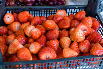 There are a lot of strawberries in the drawer. Sweet delicious berry, natural vitamins.