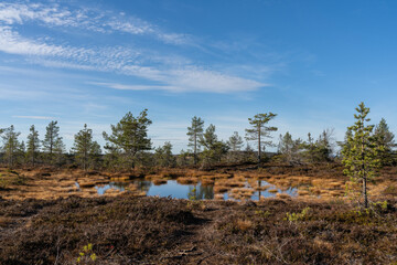 Hiking toward Riisitunturi&rsquo;s summit