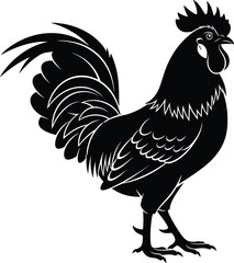 Rooster silhouette vector, farm animal illustration, poultry graphic, bold black shape, rural symbol, feather detail, comb, wattle, tail, standing pose