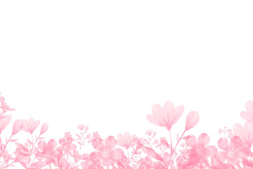 pink floral background