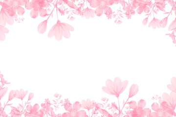 pink cherry blossom