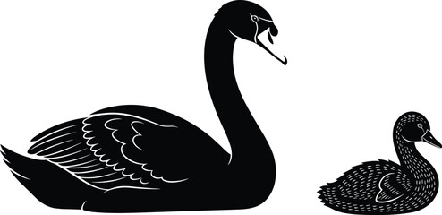 Swan silhouette vector, black bird illustration, elegant posture, animal pair, nature concept, feather detail, wildlife art, graceful waterfowl design