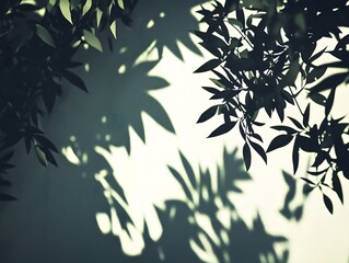 Abstract botanical wall art with leaf shadows creating unique design
