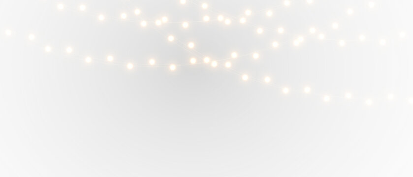 Christmas lights isolated on transparent background. Festive garland with golden bulbs for winter holiday decoration and celebration design.