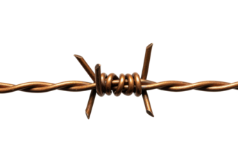 Isolated thorny metal fence wire used as a barrier to keep people out of restricted areas