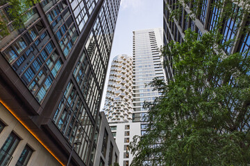 Low Angle View of Modern Skyscrapers and Glass Facades Framing an Urban Skyline