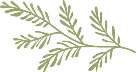 branch of rosemary © studio AM