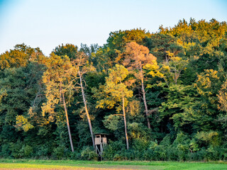 Hoch und Jägersitz am Waldrand