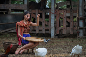Young woman cleaning the paddy before milling. An Asian female to work. Grain separation.
