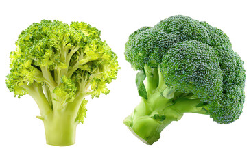 Two Fresh Broccoli Florets on Black Background