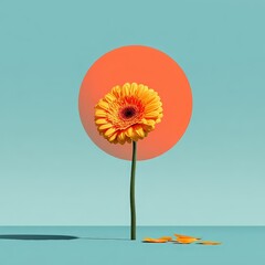 Single Yellow Gerbera Daisy with Green Stem and Orange Circle Against a Light Blue Backdrop