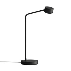 Sleek Black Modern Desk Lamp with Oval Shade and Base