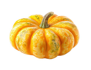 Small Orange Pumpkin with Green Speckles on Transparent Background