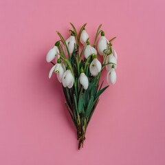 Snowdrop Flowers Bouquet on Pink Background