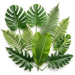 Tropical Foliage Arrangement Lush Green Leaves Composition