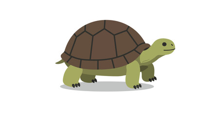 Illustration of a turtle with a brown shell and green body on a white background