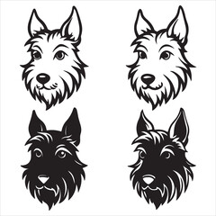 Naklejka premium A Dignified Scottish Terrier Dog, the Feisty Diehard Breed with a Compact Lowrider Body, Characterized by its Wiry coat and Bearded Muzzle Silhouette