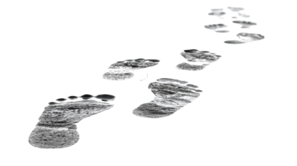 Human wet footprints on white surface isolated on white background, walking steps trail symbolizing journey path travel adventure lifestyle concept design element 