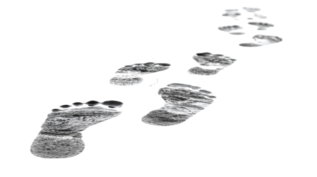 Human wet footprints on white surface isolated on white background, walking steps trail symbolizing journey path travel adventure lifestyle concept design element 