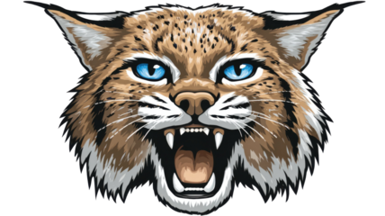 Vector illustration of wild lynx cat head with blue eyes and open mouth roaring, isolated animal mascot drawing graphic design on white background 