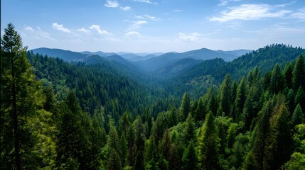Fototapeta premium Majestic mountain landscape featuring expansive, evergreen forest covers the hillsides under a clear, blue sky dotted with fluffy white clouds, creating a vibrant scene of natural beauty.