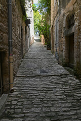 Obraz premium A quiet narrow street in a French village, lined with old stone houses, wooden shutters, and potted plants, reflecting rustic charm and traditional architecture